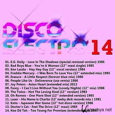 Disco Electro Vol. 14 (2013)