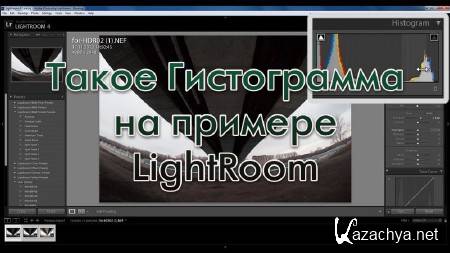    LightRoom (2013) 