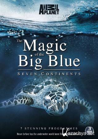   .  / Magic of Big Blue Asia (2011) 3D (HSBS) / BDRip (1080p)