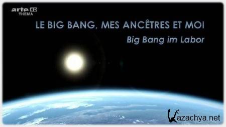  ,   / Le big bang, mes ancetres et moi (2009) SATRip