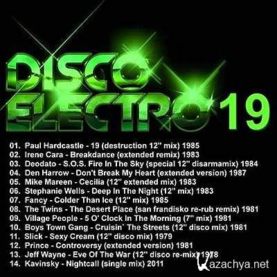 Disco Electro Volume 19 (2013)