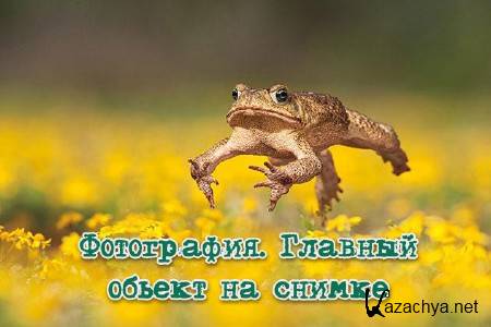 ����������. ������� ������ �� ������ (2013)