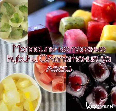 ����������� ������� ������. ���������� �� ����� (2013)