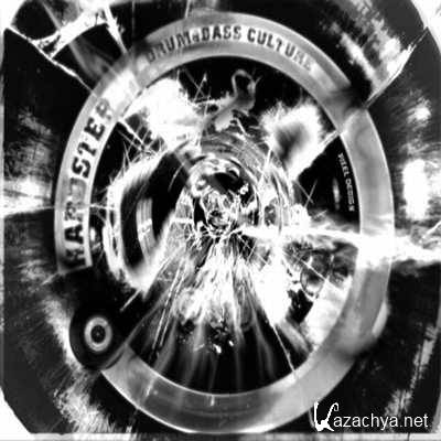 Drum & Bass Collection November Vol.2 (320 /c-2013)