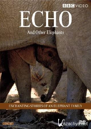     (1-12 ) / Echo and the elephants of Amboseli (2011) SATRip