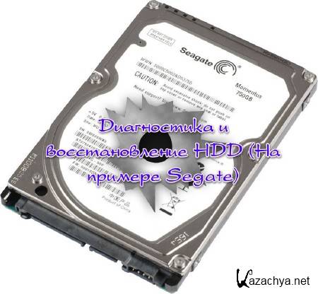 ����������� � �������������� HDD (�� ������� Segate) (2013) 