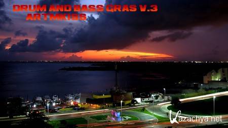Drum and Bass Gras v.3 (2013)