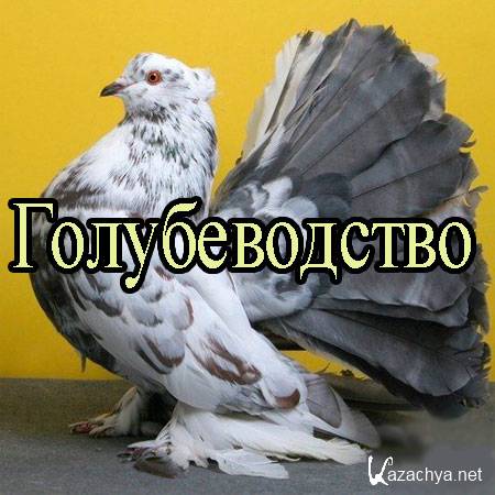 ������������� (2013) DVDRip