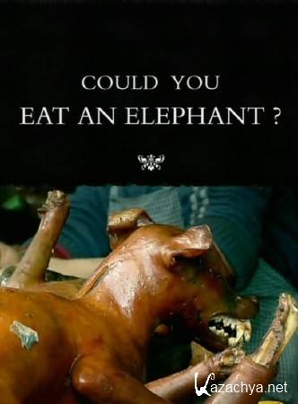     ? / Could You Eat an Elephant? (2009) SATRip