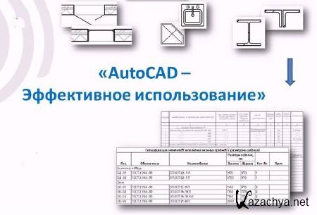 AutoCAD.   (2013)