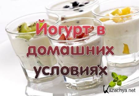 ������ � �������� �������� (2013)