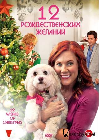 12   / 12 Wishes of Christmas (2011) DVDRip