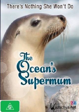    / The Ocean's Supermum (2009) SATRip