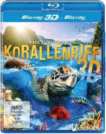  3D:  - / Corals 3D: Magic of the Indo-Pacific (2012) 3D (HOU) / BDRip (1080p)