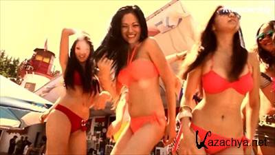 DJ Fly - Put Your Hands Up (2013)