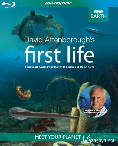   /   / David Attenborough's First Life (2010) 720p BDRip