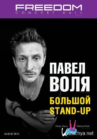  .  Stand Up /     (2013/WEB-DLRip)