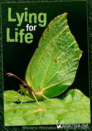 ,   / Lying for Life (2013) SATRip