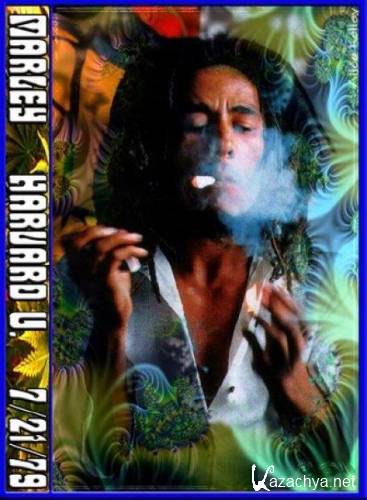 Bob Marley and The Wailers - Amandla Festival (1979) VHSRip