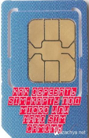   sim-  Micro  Nano SIM  (2013)