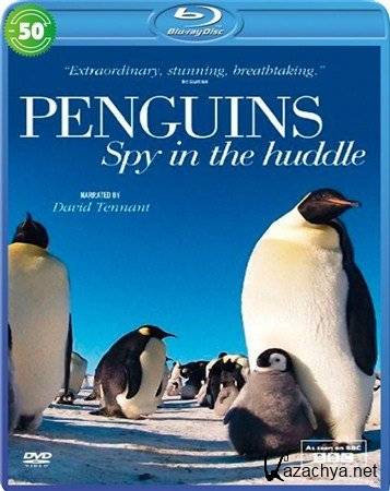 BBC. .    / Penguins - Spy In The Huddle (2013) DVB