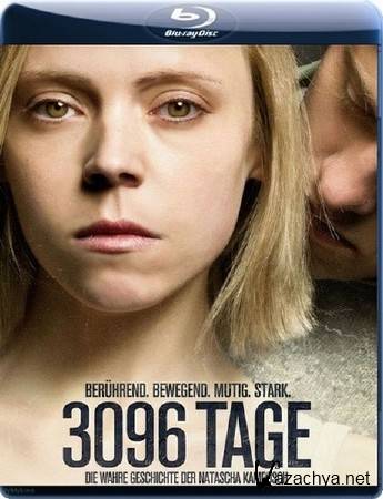 3096  / 3096 Days  (2013) BDRip-AVC