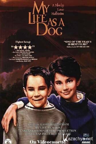    / My Life as a Dog / Mitt liv som hund (1985/HDRip/DVDRip-AVC/BDRip 720p)
