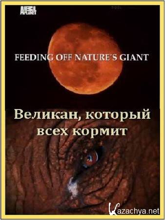 Animal Planet: ,    / Feeding Off Nature's Giant (2010) SATRip
