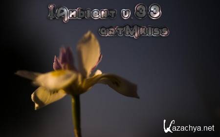 IAmbient v.33 (2014)