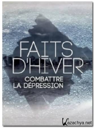  .     / Faits d'hiver (2012) DVB