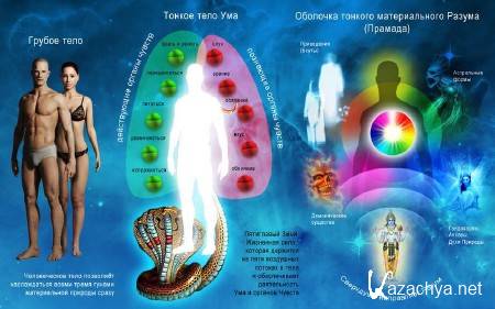 ����������� �������. ������ � �������� ������� ���� (2013)