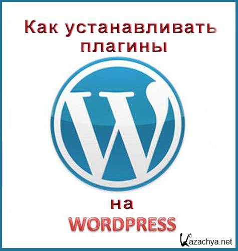     Wordpress (2013) MP4