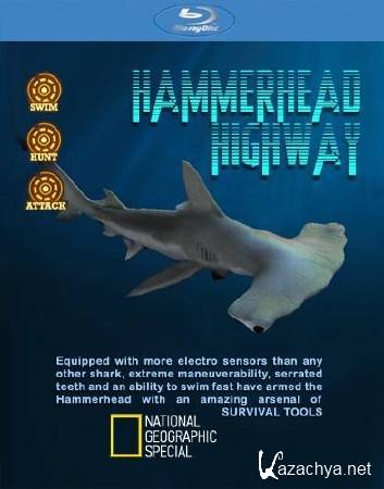 National Geographic:  :  - / National Geographic Special: Hammerhead Highway (2008) BDRip (1080p)