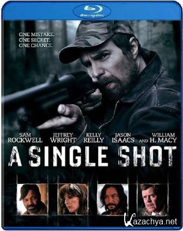 ������������ ������� / A Single Shot (2013) HDRip
