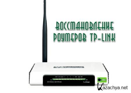   TP-Link (2013)