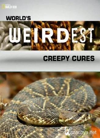    :   / World's Weirdest: Creepy cures (2013) HDTVRip