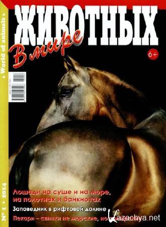 � ���� �������� �1 (������ 2014)