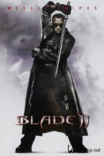  2 / Blade II (2002/HDRip/BDRip/HDRip-AVC/BDRip-AVC/BDRip 720p)