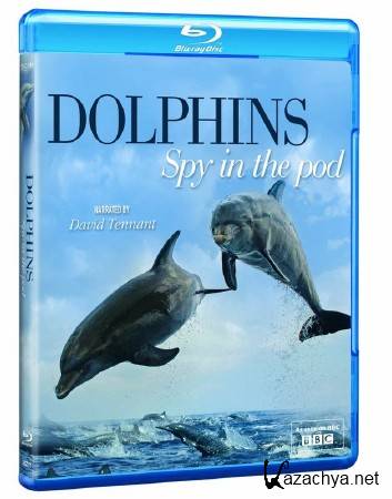 .    (1-2   2) / Dolphins. Spy In The Pod (2014) HDTVRip (720p)