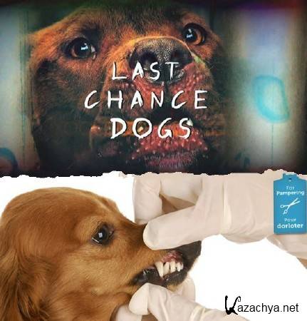 ,  ! (10   10) / Last Chance Dogs (2012) SATRip