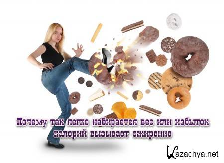 ������ ��� ����� ���������� ��� ��� ������� ������� �������� �������� (2013) 