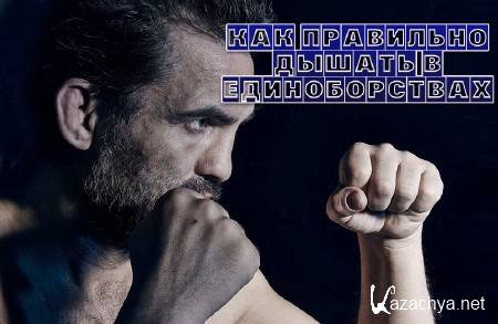 ��� ��������� ������ � ������������� (2013) 