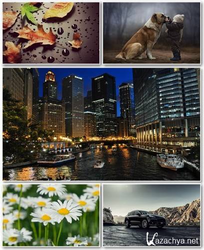 Best HD Wallpapers Pack 1145