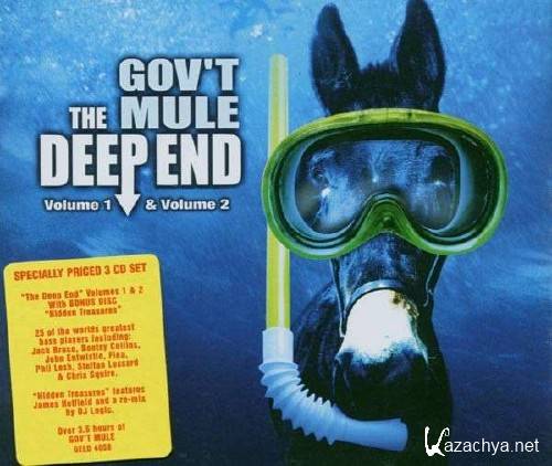 Gov't Mule - The Deep End (2002) FLAC