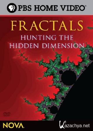 :    / Fractals. Hunting the Hidden Dimension (2008) DVB