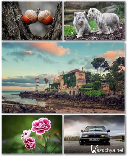 Best HD Wallpapers Pack 1150