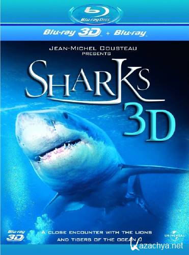  3D / IMAX - Sharks 3D (2004) 1080p BDRip