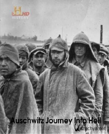     / Auschwitz Journey Into Hell (2013)1080i