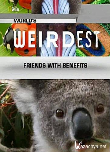    .   :   / World's Weirdest: Friends With Benefits (2013) SATRip