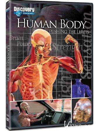 Discovery:  :   (4   4) / Human body: Pushing the limits (2008) BDRip (AVC)